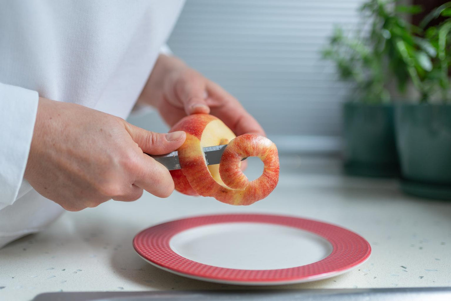 Multipurpose Fruit & Vegetable Peeler with Ergonomic Non-Slip Handle