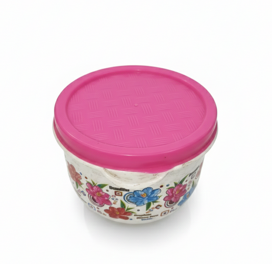 Plastic Storage Container with Lid