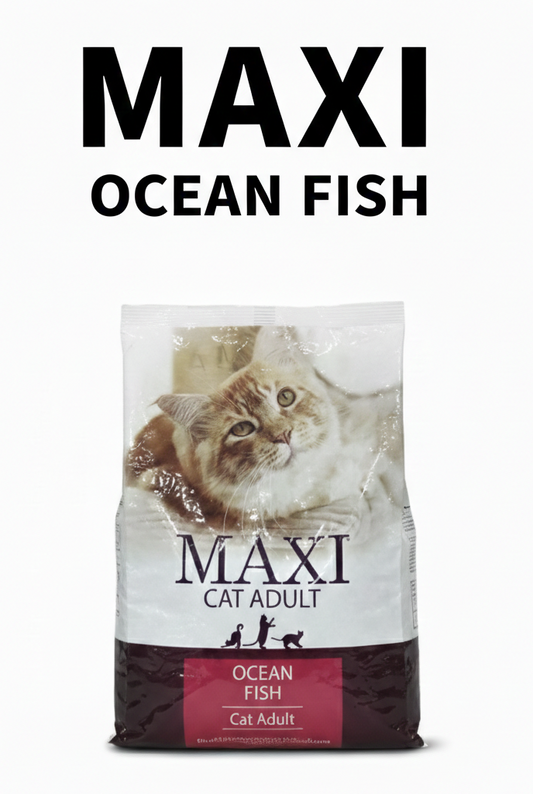 MAXI Cat Adult Dry Food