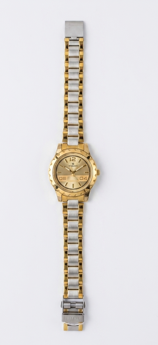 Women’s Luxury Swiss Automatic Watch with Champagne Gold Dial | Two-Tone 316L Stainless Steel Strap