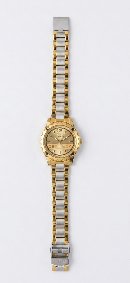 Women’s Luxury Swiss Automatic Watch with Champagne Gold Dial | Two-Tone 316L Stainless Steel Strap
