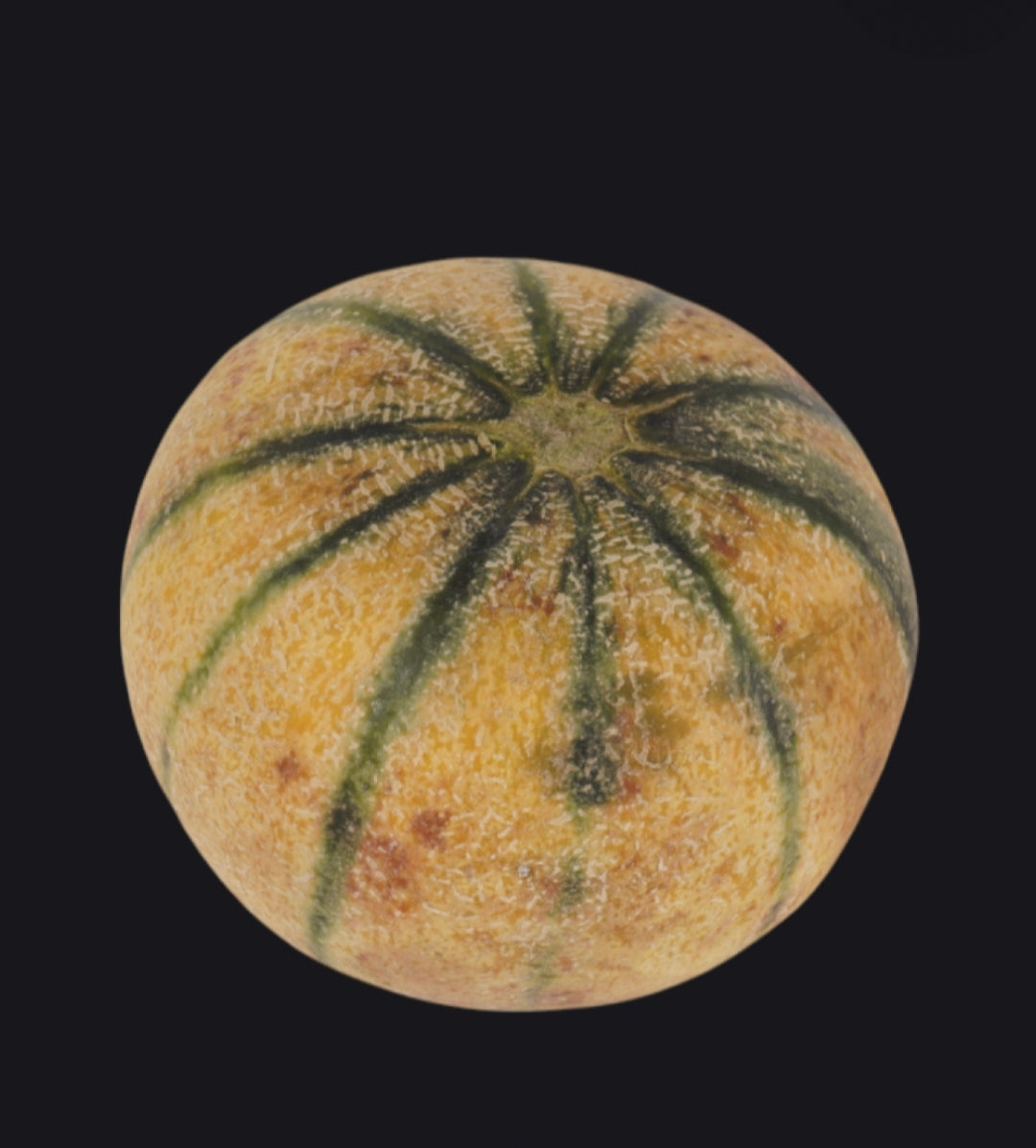 Sweet Juicy Kharbuja | Premium Farm Fresh Muskmelon (500 grams )