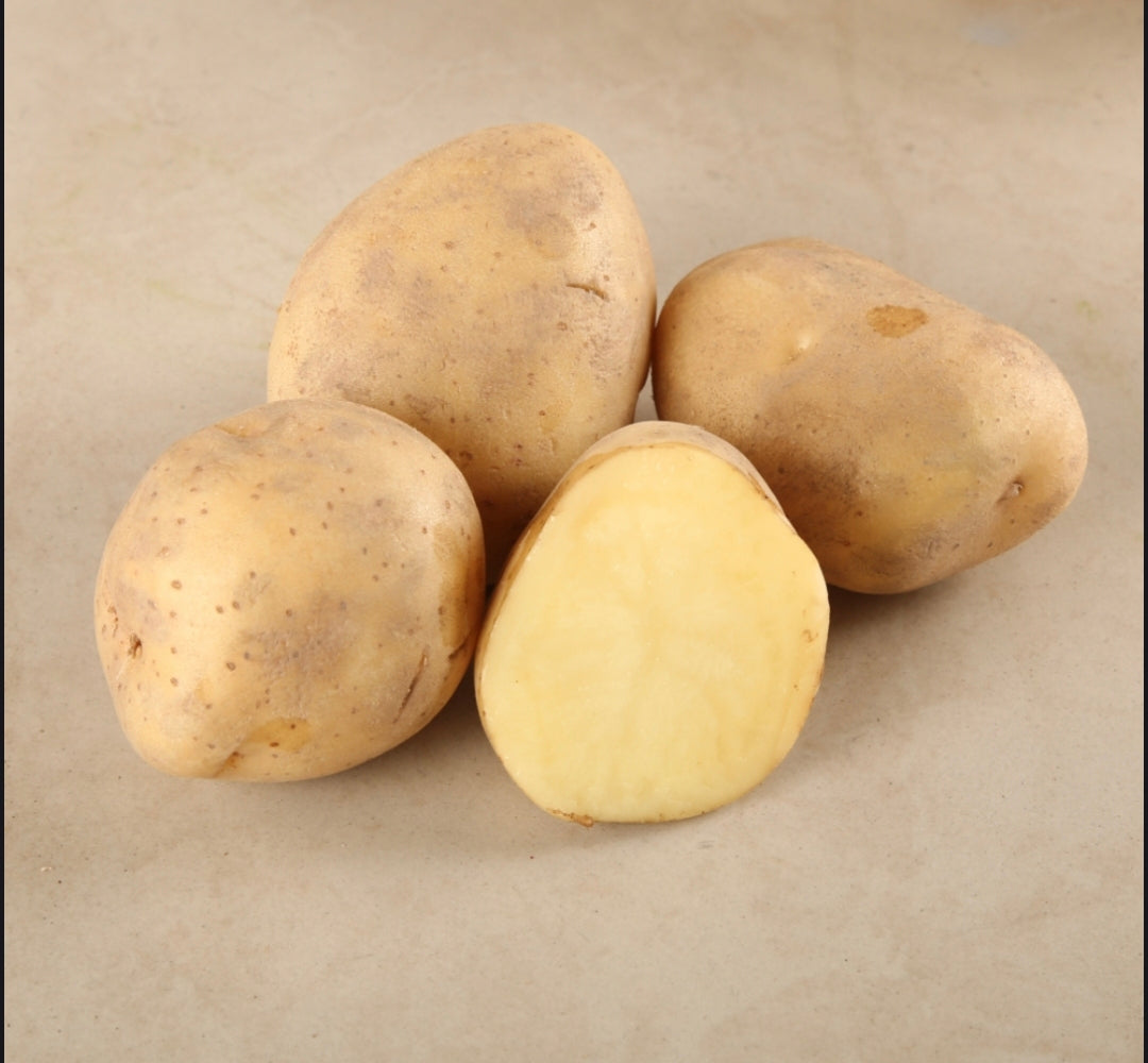 Fresh Premium Potato (Aloo) | Farm Fresh Natural Vegetables Cooking Potatoes for Daily Use ( 1 kg )