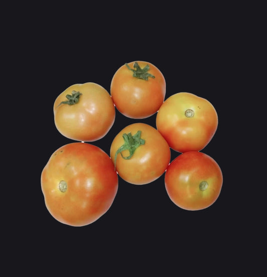 Fresh Tomato (Tamatar) | Farm Fresh Juicy Red Tomatoes Premium Natural Vegetables for Cooking ( 500 grams )