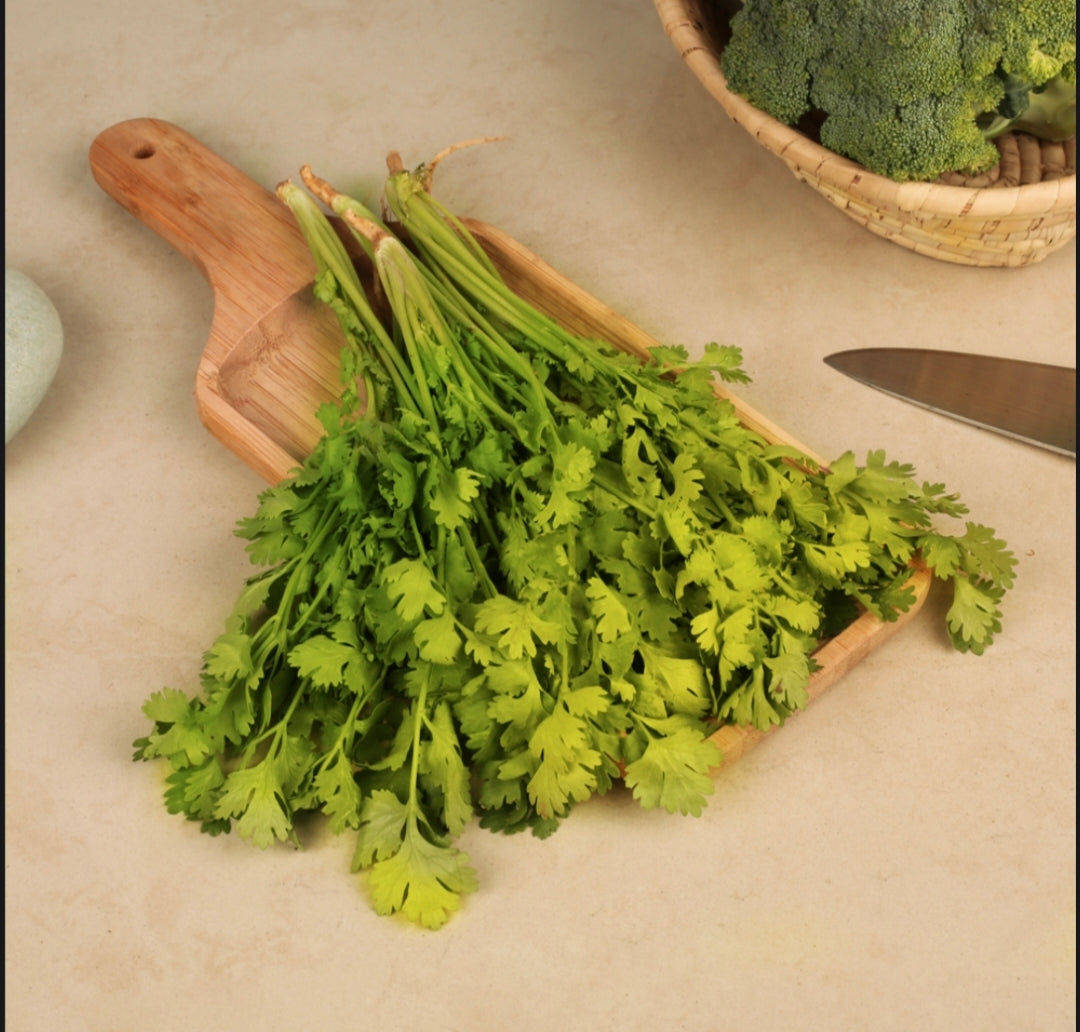 Fresh Coriander Leaves (Dhaniya) | Farm Fresh Green Coriander Premium Natural Herb for Cooking  ( 100 grams )