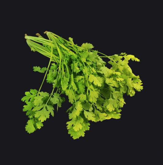Fresh Coriander Leaves (Dhaniya) | Farm Fresh Green Coriander Premium Natural Herb for Cooking  ( 100 grams )