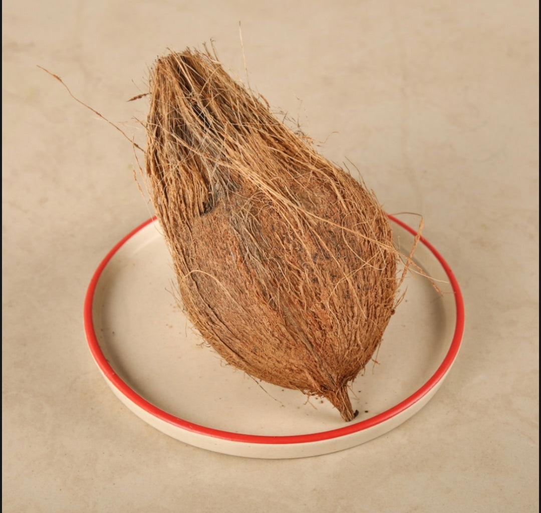 Fresh Whole Coconut (Nariyal) | Farm Fresh Natural Coconut Premium Raw Coconut for Cooking & पूजा ( 1 pc )