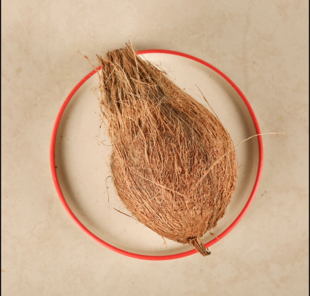 Fresh Whole Coconut (Nariyal) | Farm Fresh Natural Coconut Premium Raw Coconut for Cooking & पूजा ( 1 pc )