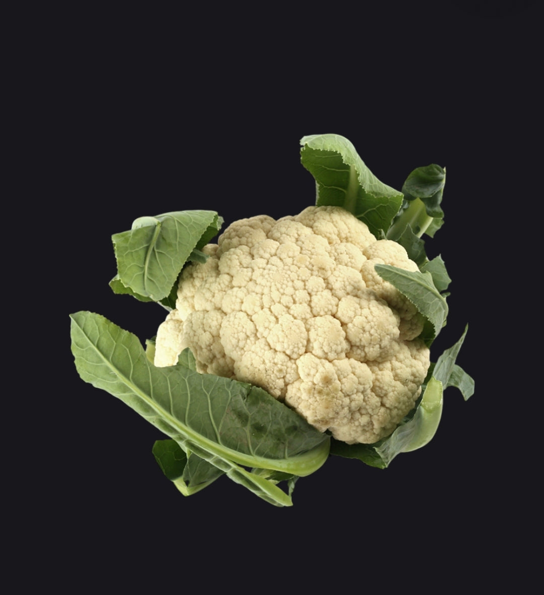 Fresh Cauliflower (Phool Gobhi) | Farm Fresh Natural Cauliflower Premium Vegetables for Cooking ( 300 )