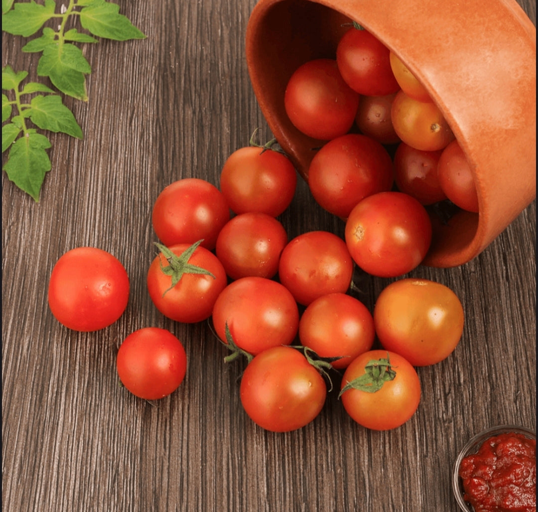 Fresh Cherry Tomato | Farm Fresh Juicy Cherry Tomatoes Premium Natural Tomatoes for Salads & Cooking ( 250 grams )
