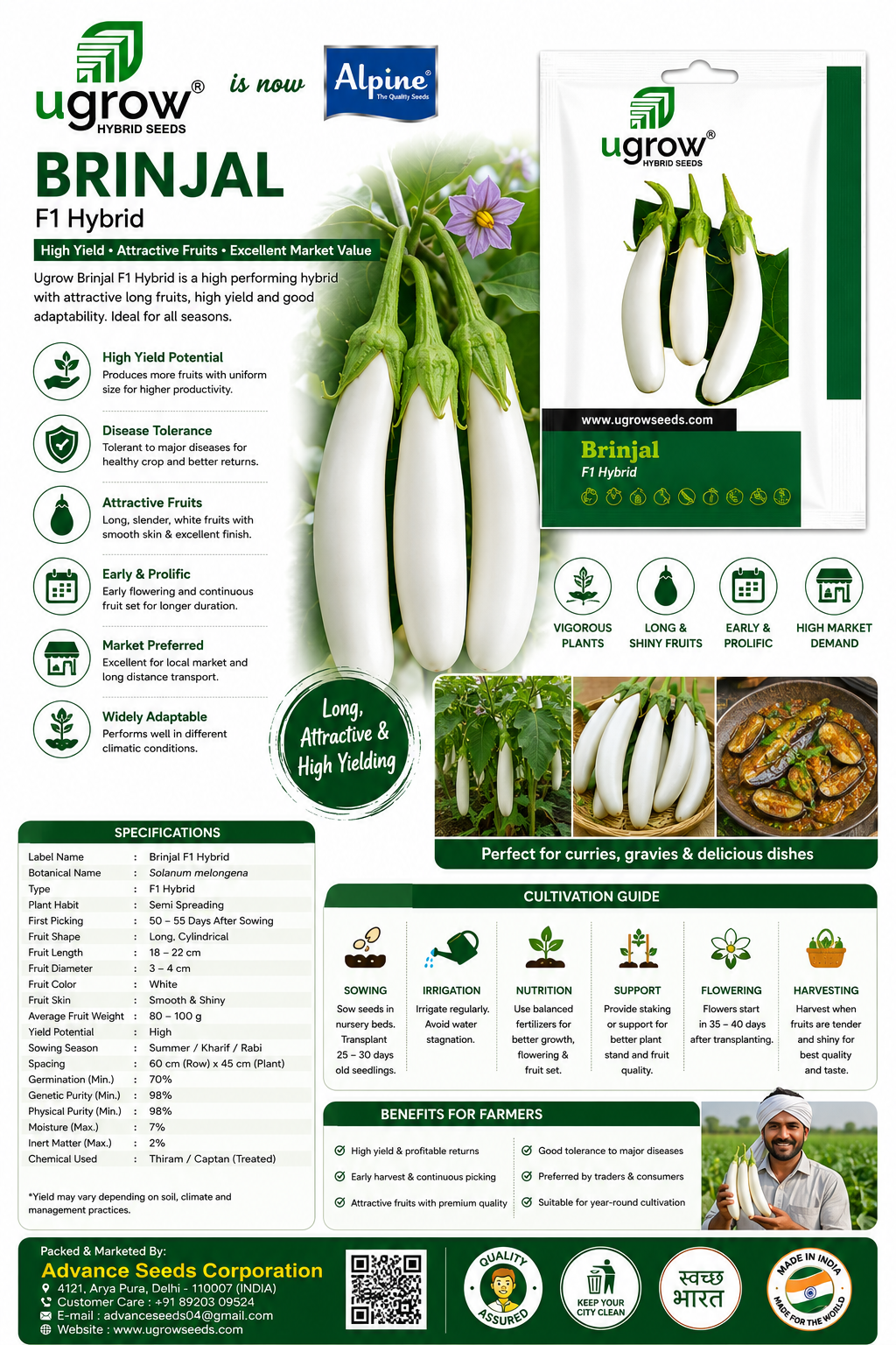 Ugrow Brinjal F1 Hybrid Seeds | High Yield White Brinjal Seeds | Long Cylindrical Eggplant Variety | Disease Tolerant Hybrid Vegetable Seeds for Farming & Kitchen Garden