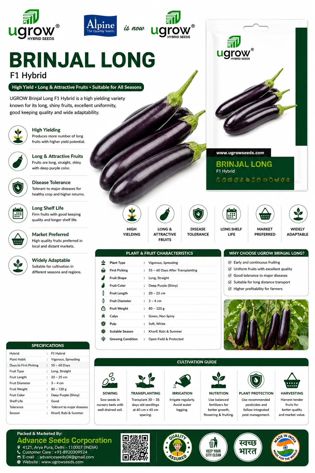 Ugrow Brinjal Long F1 Hybrid Seeds | High Yield Long Purple Eggplant Seeds | Disease Tolerant Hybrid Brinjal Variety | Suitable for Kharif, Rabi & Summer Cultivation