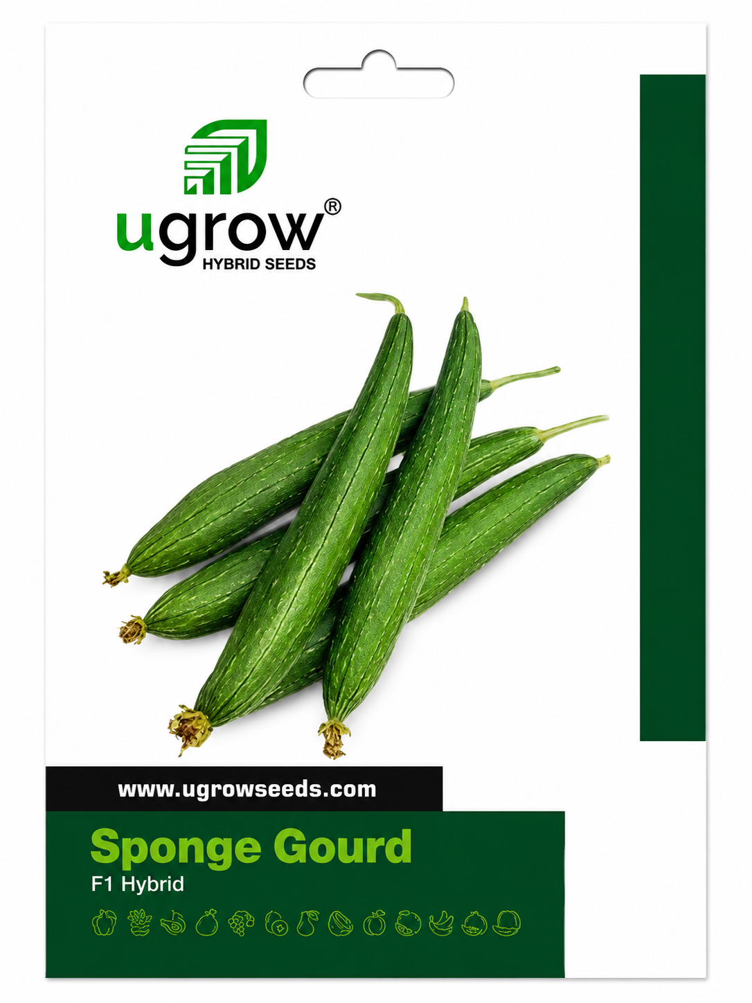 Ugrow Sponge Gourd F1 Hybrid Seeds | High Yield Sponge Gourd Seeds | Uniform Long Cylindrical Fruits | Disease Tolerant Hybrid Vegetable Seeds for Farming & Home Gardening