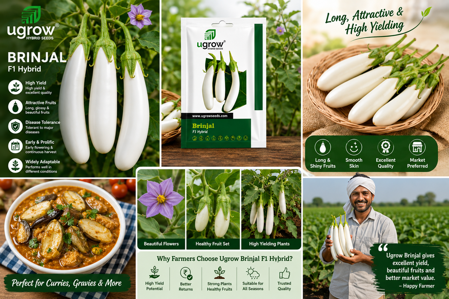 Ugrow Brinjal F1 Hybrid Seeds | High Yield White Brinjal Seeds | Long Cylindrical Eggplant Variety | Disease Tolerant Hybrid Vegetable Seeds for Farming & Kitchen Garden