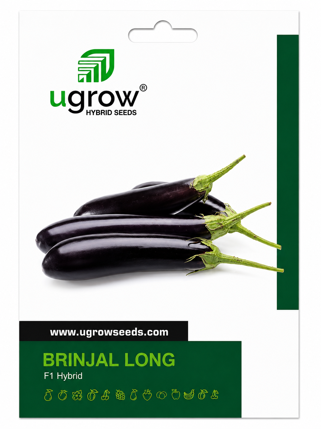 Ugrow Brinjal Long F1 Hybrid Seeds | High Yield Long Purple Eggplant Seeds | Disease Tolerant Hybrid Brinjal Variety | Suitable for Kharif, Rabi & Summer Cultivation