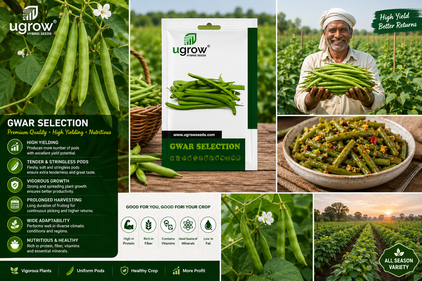 Ugrow Gwar Selection Seeds | Cluster Bean Seeds | High Yield Tender & Stringless Pods | Nutritious Vegetable Seeds for Farming, Kitchen Garden & Home Gardening