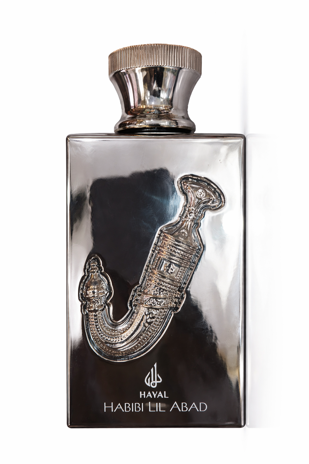 Premium Arabic Perfume Eau De Parfum – Long-Lasting Oud Inspired Fragrance for Men & Women – Luxury Metallic Bottle with Gift Box – Rich Middle Eastern Scent (Habibi Lil Abad)