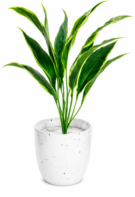 Artificial Green Leaf Plant with Pot for Home Decor | Realistic Faux Indoor Plant | Decorative Artificial Plant for Living Room, Bedroom, Office Desk, Shelf, Table & Bathroom | 28 cm