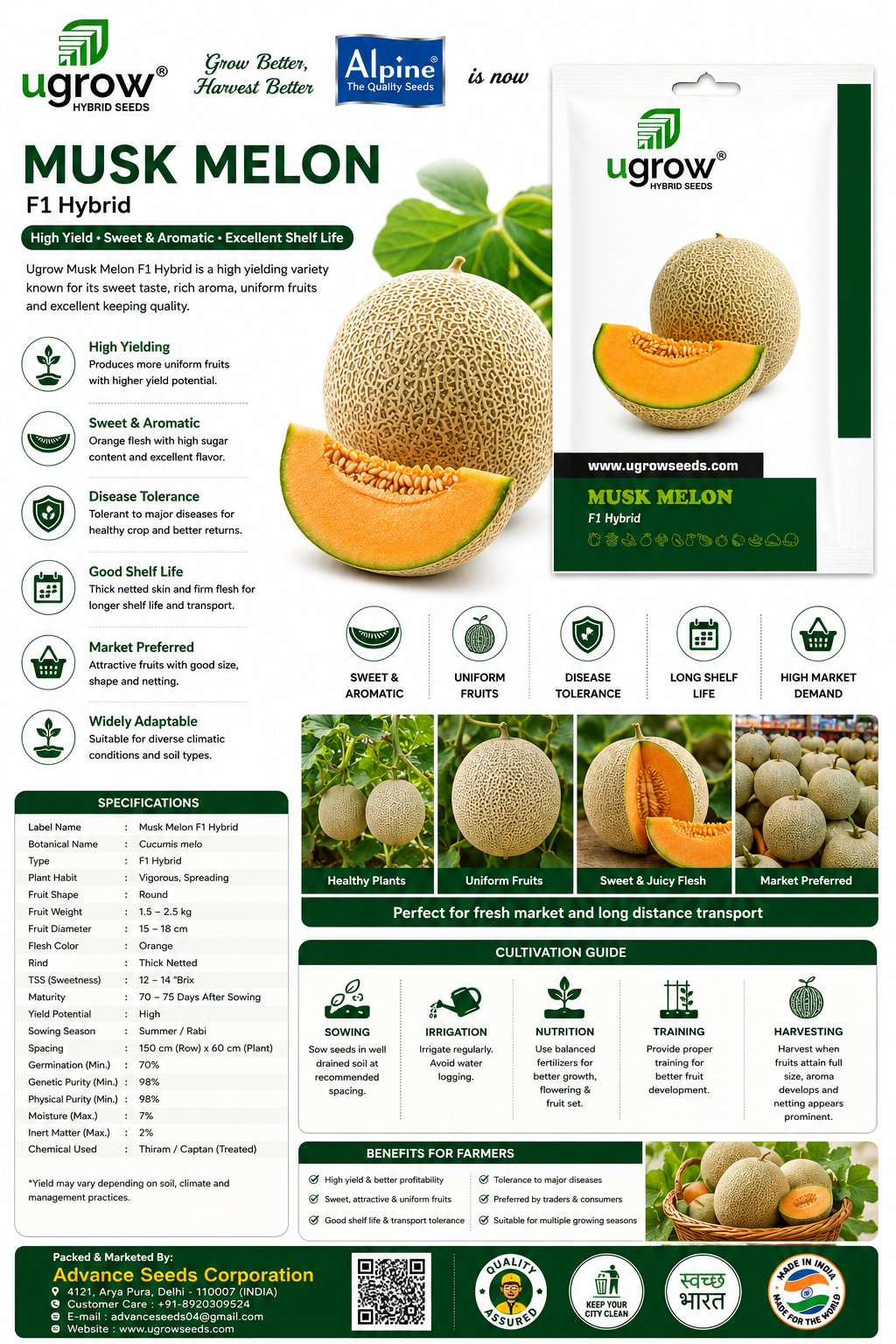 Ugrow Musk Melon F1 Hybrid Seeds | Sweet & Aromatic Muskmelon Variety | High Yield Hybrid Kharbuja Seeds | Uniform Fruits with Excellent Shelf Life for Farming & Home Gardening