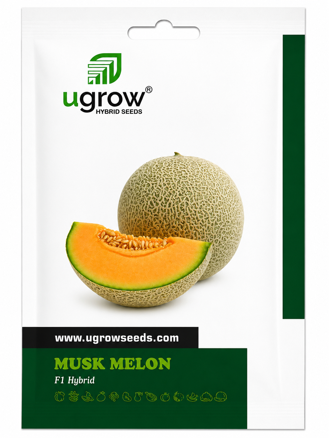 Ugrow Musk Melon F1 Hybrid Seeds | Sweet & Aromatic Muskmelon Variety | High Yield Hybrid Kharbuja Seeds | Uniform Fruits with Excellent Shelf Life for Farming & Home Gardening