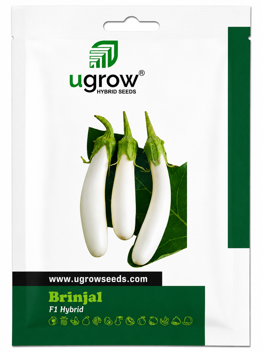 Ugrow Brinjal F1 Hybrid Seeds | High Yield White Brinjal Seeds | Long Cylindrical Eggplant Variety | Disease Tolerant Hybrid Vegetable Seeds for Farming & Kitchen Garden